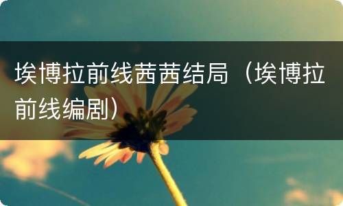 埃博拉前线茜茜结局（埃博拉前线编剧）