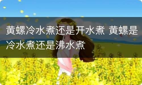 黄螺冷水煮还是开水煮 黄螺是冷水煮还是沸水煮