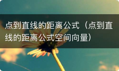 点到直线的距离公式（点到直线的距离公式空间向量）