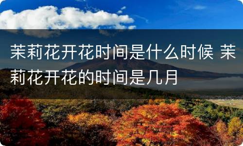 茉莉花开花时间是什么时候 茉莉花开花的时间是几月