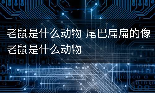 老鼠是什么动物 尾巴扁扁的像老鼠是什么动物