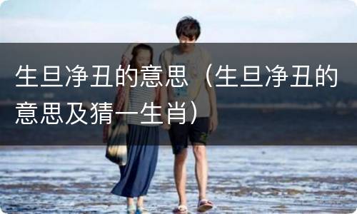 生旦净丑的意思（生旦净丑的意思及猜一生肖）