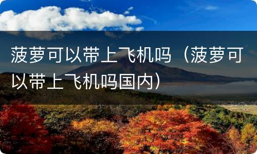 菠萝可以带上飞机吗（菠萝可以带上飞机吗国内）