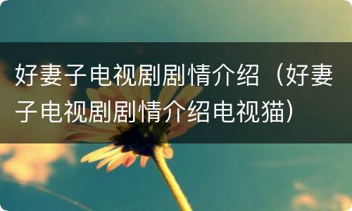 好妻子电视剧剧情介绍（好妻子电视剧剧情介绍电视猫）