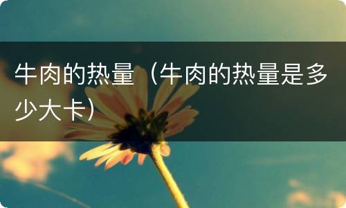 牛肉的热量（牛肉的热量是多少大卡）