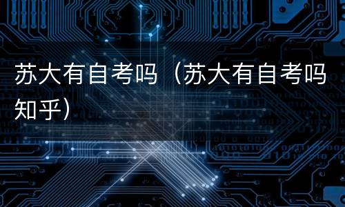 苏大有自考吗（苏大有自考吗知乎）