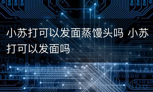 小苏打可以发面蒸馒头吗 小苏打可以发面吗