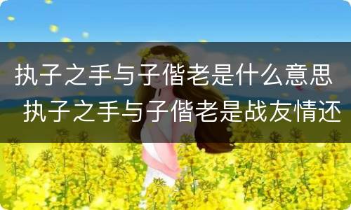 执子之手与子偕老是什么意思 执子之手与子偕老是战友情还是夫妻情