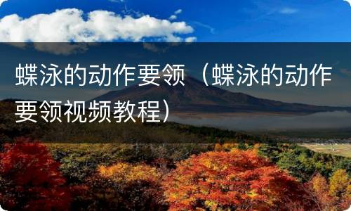 蝶泳的动作要领（蝶泳的动作要领视频教程）