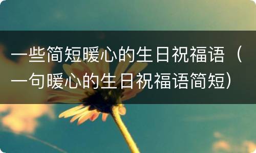 一些简短暖心的生日祝福语（一句暖心的生日祝福语简短）
