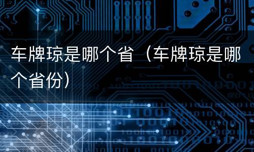 车牌琼是哪个省（车牌琼是哪个省份）