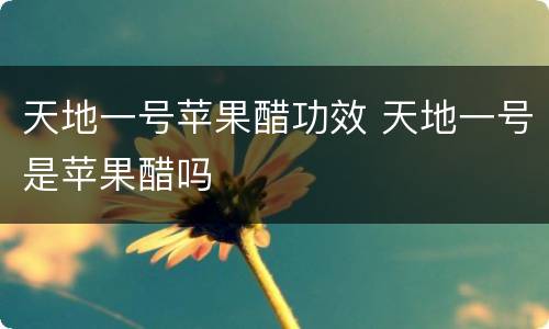 天地一号苹果醋功效 天地一号是苹果醋吗