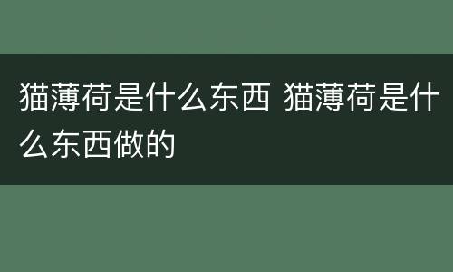 猫薄荷是什么东西 猫薄荷是什么东西做的