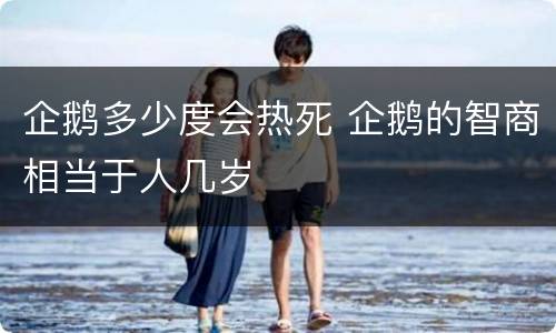 企鹅多少度会热死 企鹅的智商相当于人几岁