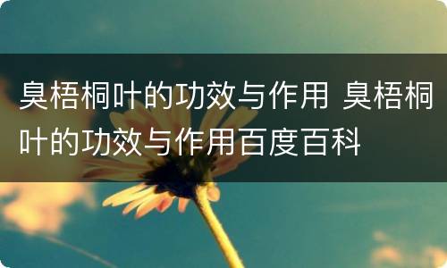 臭梧桐叶的功效与作用 臭梧桐叶的功效与作用百度百科