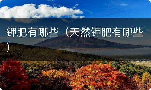 钾肥有哪些（天然钾肥有哪些）