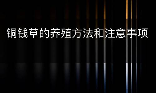 铜钱草的养殖方法和注意事项