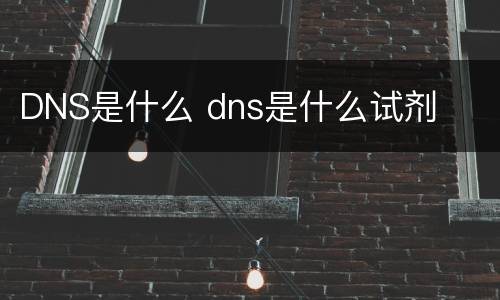 DNS是什么 dns是什么试剂