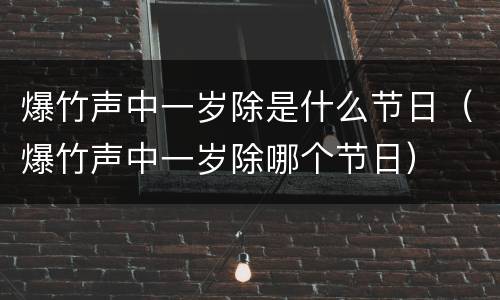 爆竹声中一岁除是什么节日（爆竹声中一岁除哪个节日）