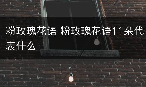粉玫瑰花语 粉玫瑰花语11朵代表什么
