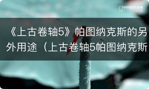 《上古卷轴5》帕图纳克斯的另外用途（上古卷轴5帕图纳克斯的窘境没有用）
