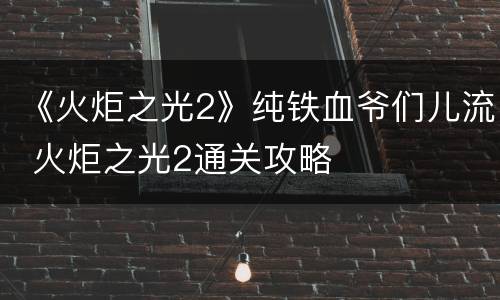 《火炬之光2》纯铁血爷们儿流 火炬之光2通关攻略