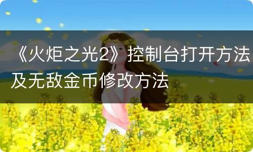 《火炬之光2》控制台打开方法及无敌金币修改方法