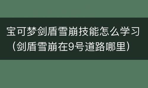 宝可梦剑盾雪崩技能怎么学习（剑盾雪崩在9号道路哪里）