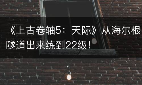《上古卷轴5：天际》从海尔根隧道出来练到22级！