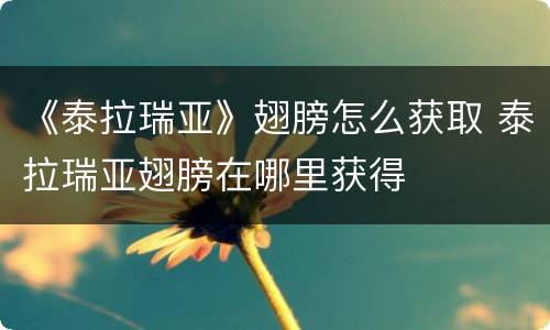 《泰拉瑞亚》翅膀怎么获取 泰拉瑞亚翅膀在哪里获得