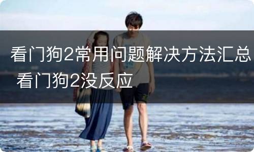 看门狗2常用问题解决方法汇总 看门狗2没反应