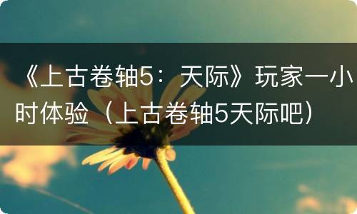 《上古卷轴5：天际》玩家一小时体验（上古卷轴5天际吧）