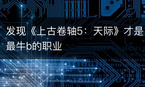 发现《上古卷轴5：天际》才是最牛b的职业