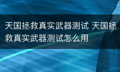 天国拯救真实武器测试 天国拯救真实武器测试怎么用