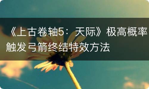 《上古卷轴5：天际》极高概率触发弓箭终结特效方法