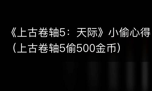 《上古卷轴5：天际》小偷心得（上古卷轴5偷500金币）