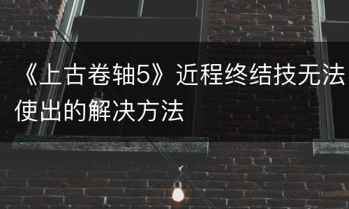 《上古卷轴5》近程终结技无法使出的解决方法