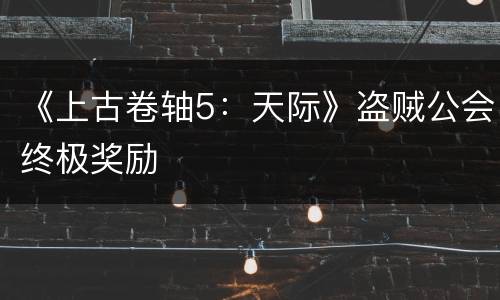 《上古卷轴5：天际》盗贼公会终极奖励