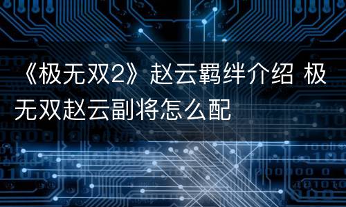 《极无双2》赵云羁绊介绍 极无双赵云副将怎么配