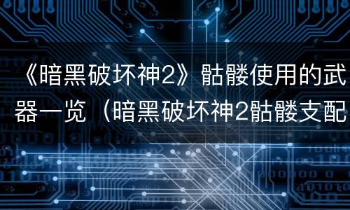 《暗黑破坏神2》骷髅使用的武器一览（暗黑破坏神2骷髅支配效果）
