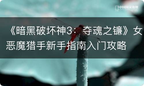 《暗黑破坏神3：夺魂之镰》女恶魔猎手新手指南入门攻略