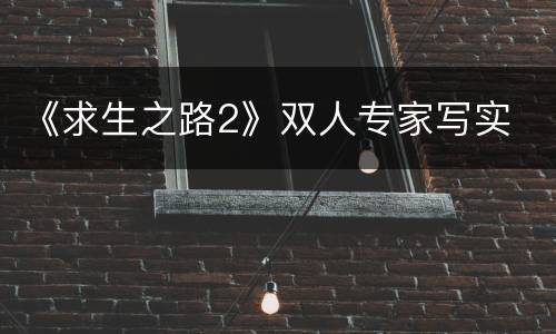 《求生之路2》双人专家写实