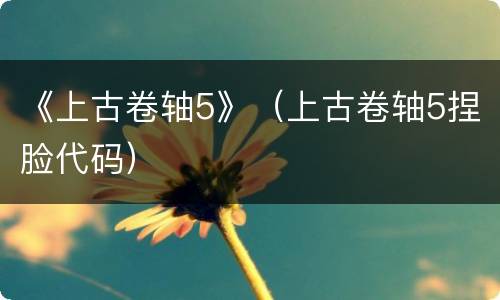 《上古卷轴5》（上古卷轴5捏脸代码）