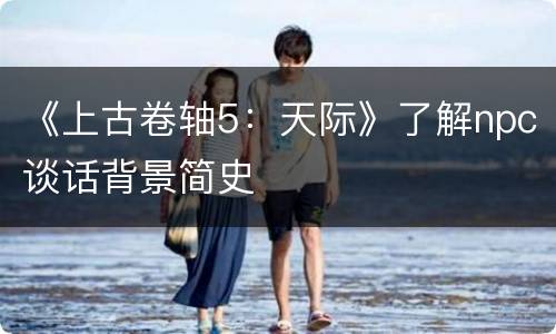 《上古卷轴5：天际》了解npc谈话背景简史