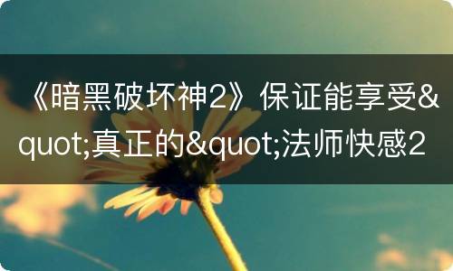 《暗黑破坏神2》保证能享受"真正的"法师快感200高能盾火法师