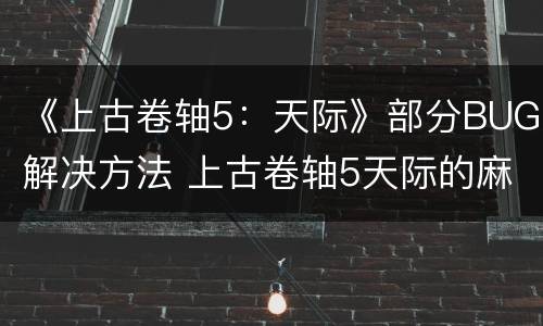 《上古卷轴5：天际》部分BUG解决方法 上古卷轴5天际的麻烦bug