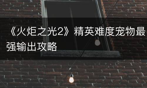 《火炬之光2》精英难度宠物最强输出攻略