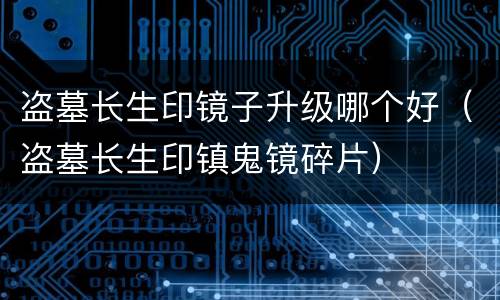 盗墓长生印镜子升级哪个好（盗墓长生印镇鬼镜碎片）