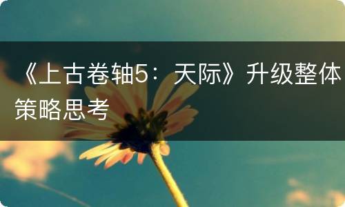 《上古卷轴5：天际》升级整体策略思考