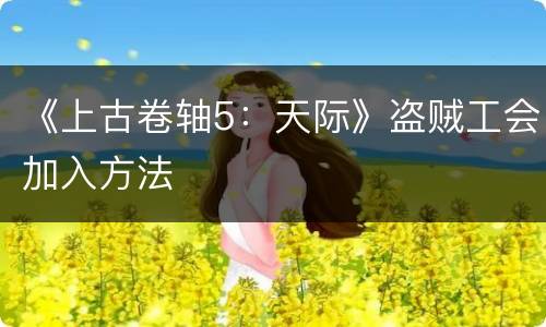 《上古卷轴5：天际》盗贼工会加入方法